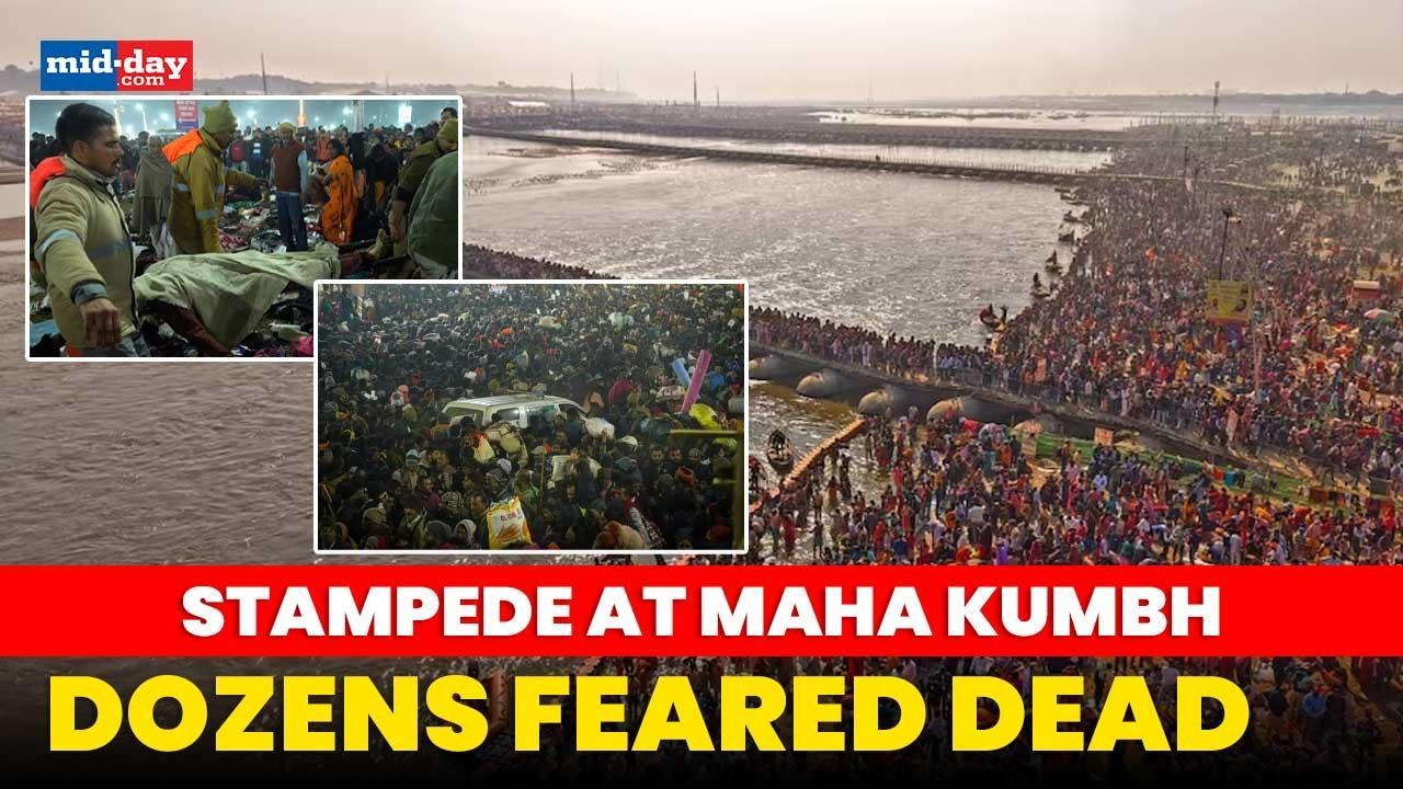 Maha Kumbh stampede: Many feared dead & several injured - Watch video
