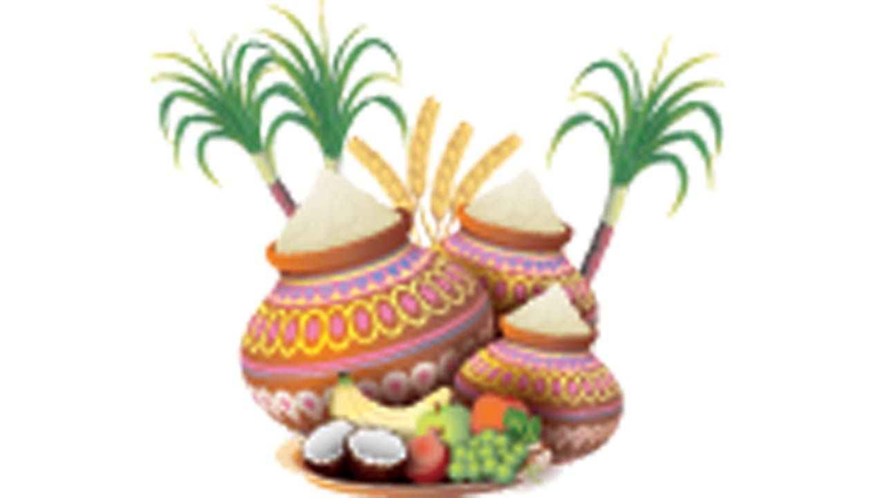 Bingeing on Sankranti