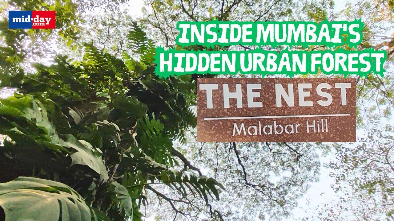 First look of Malabar Hill's Shantivan Garden before it reopens as 'The Nest'
