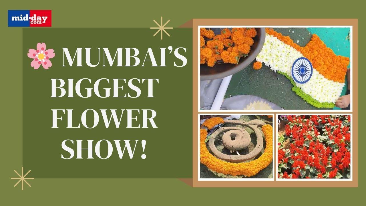 Mumbai gets ready for 28th Annual Flower Show
