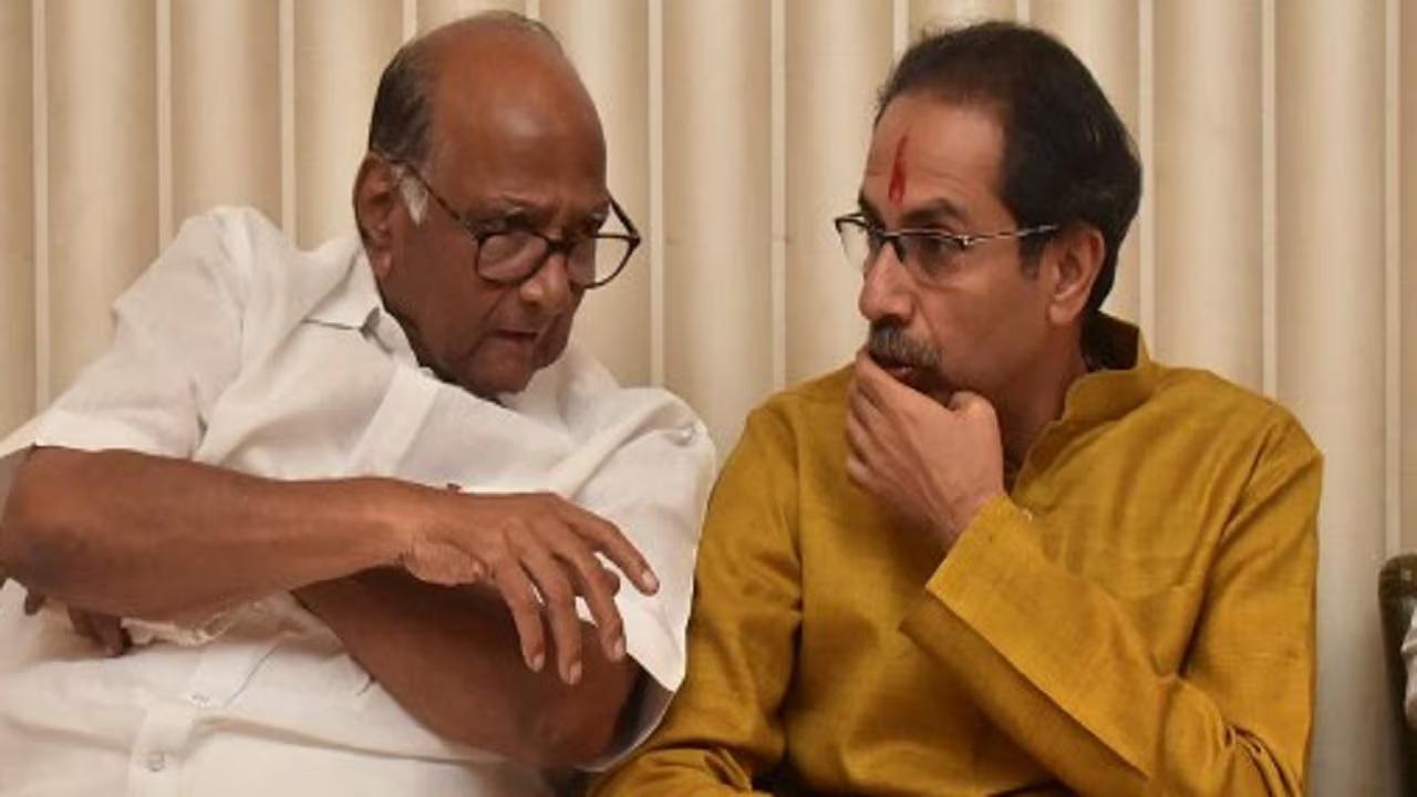 Uddhav Thackeray meets Sharad Pawar in NCP (SP) chief's Mumbai home amid discord in MVA over local polls