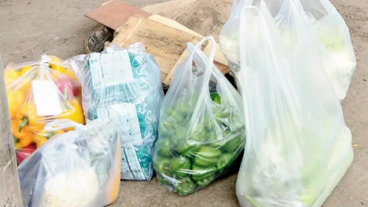 MPCB's crackdown on single-use plastic statewide: 14.50 tons seized, Rs 26.36 lakh collected in fines