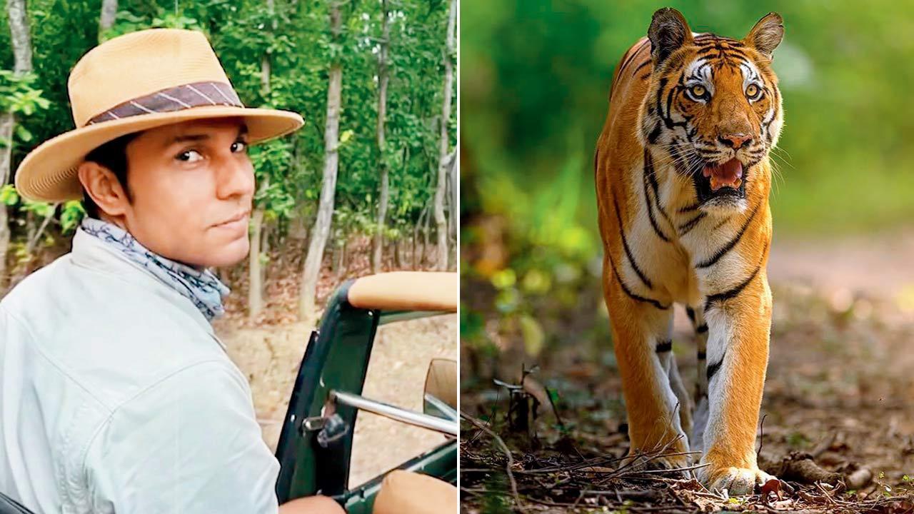 Randeep Hooda strongly reacts after Kerala govt suggests controlling tiger reproduction amid fatal attacks