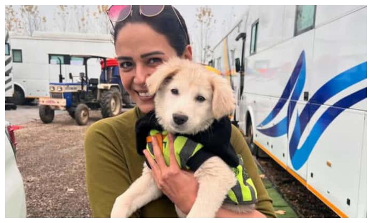 Introducing Rani: Mona Singh’s adorable Kohrra 2 companion