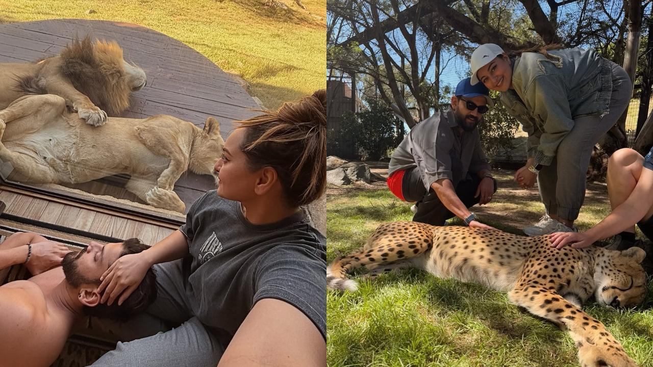 Sonakshi Sinha and Zaheer Iqbal ‘sleep’ next to lions, pet cheetahs at Australian wildlife lodge
