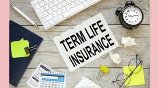 Affordability factor of term insurance