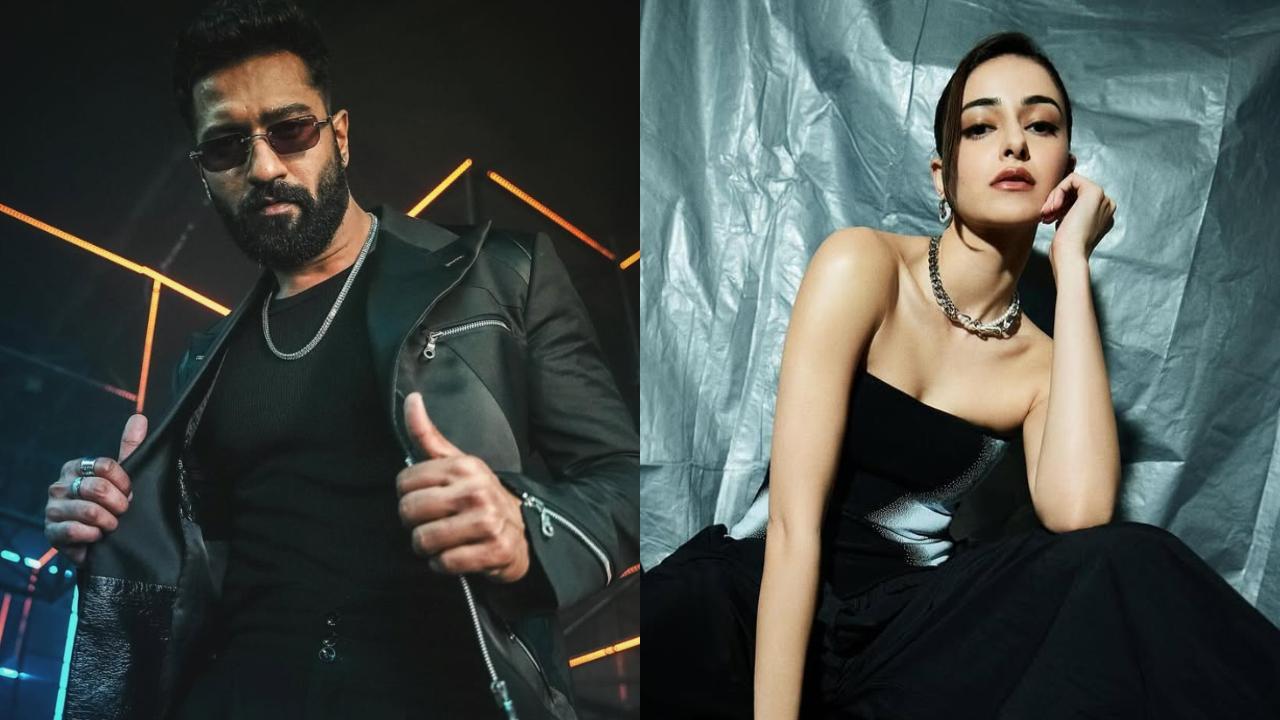 Gully Boy sequel: Vicky Kaushal and Ananya Panday likely to star in the second installment