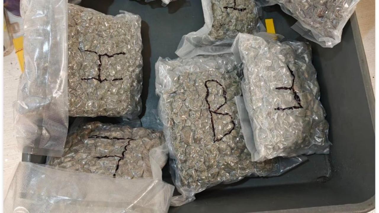 Mumbai Customs seizes marijuana worth over Rs 4 crore from passenger arriving from Bangkok, two held