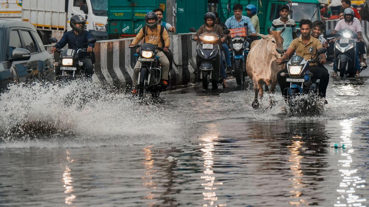 The India Meteorological Department, in its latest update issued on Sunday evening at 18:50 hrs, informed that moderate to heavy rainfall was expected.
