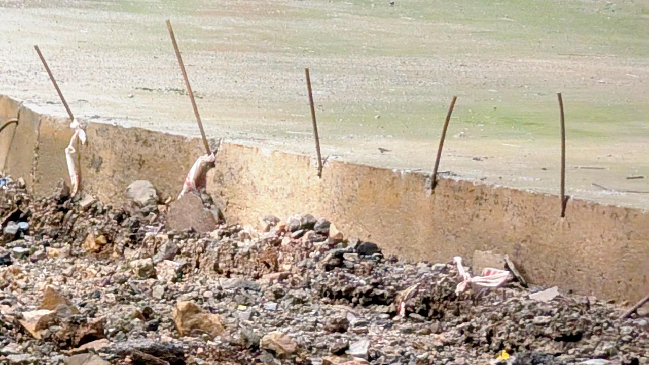 Mumbai: At Aarey Milk Colony, a disaster in waiting