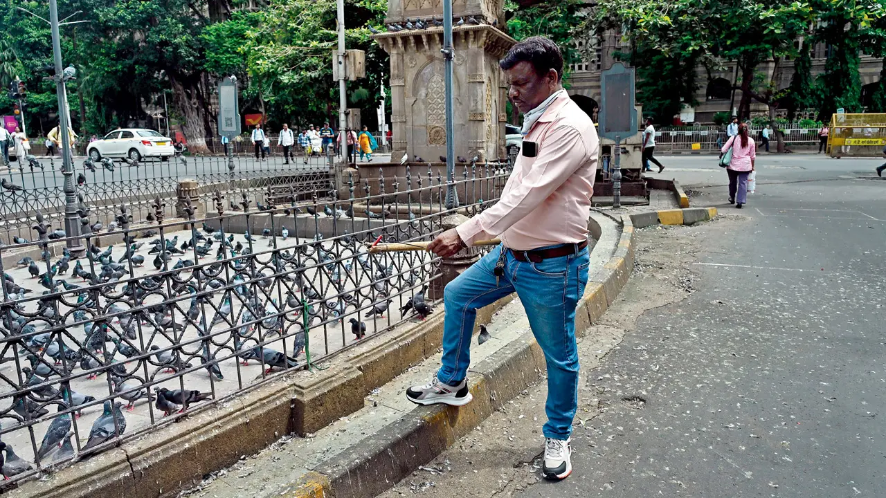 BMC deploys nuisance squad at Fort, kabutarkhana to stop feeding pigeons