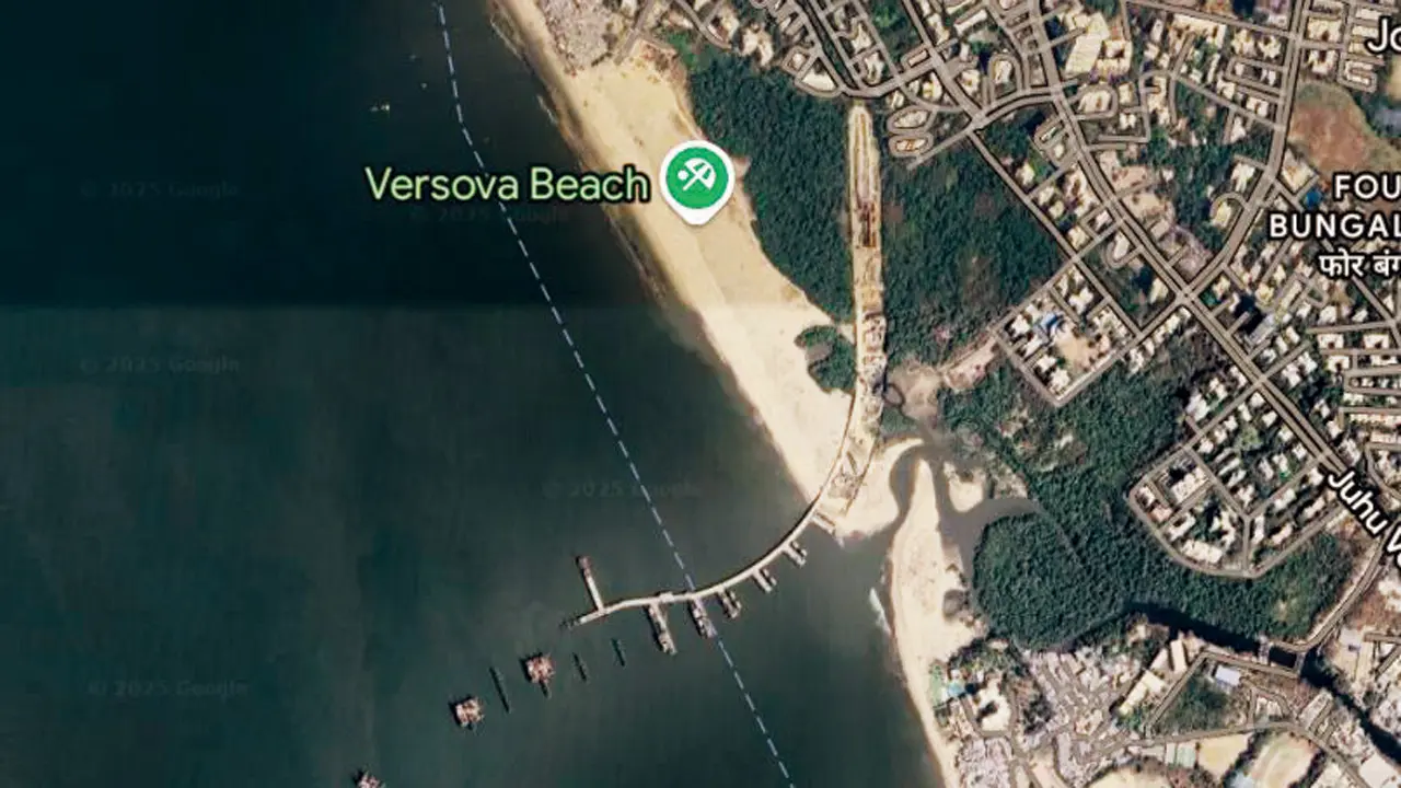 MSRDC wants nod to axe 1585 trees for Versova-Bandra Sea Link work