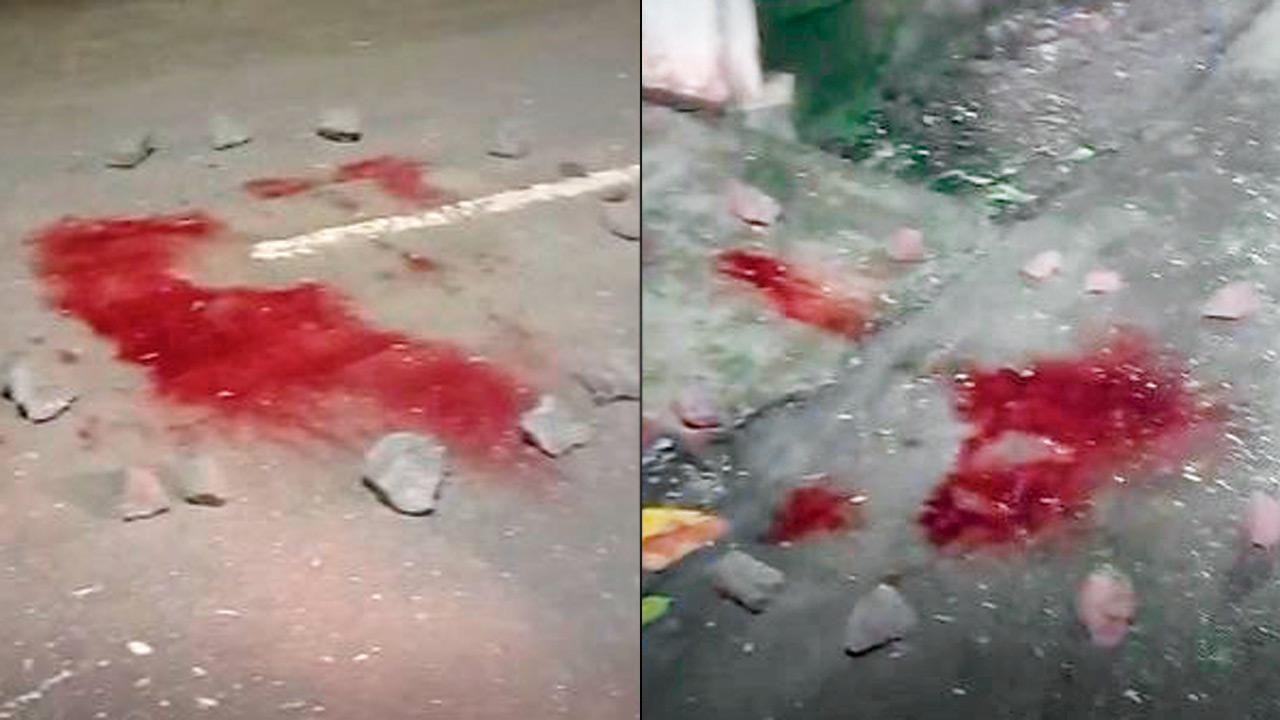 Mumbai: Mysterious blood splatters, stones spotted in IIT-Bombay campus