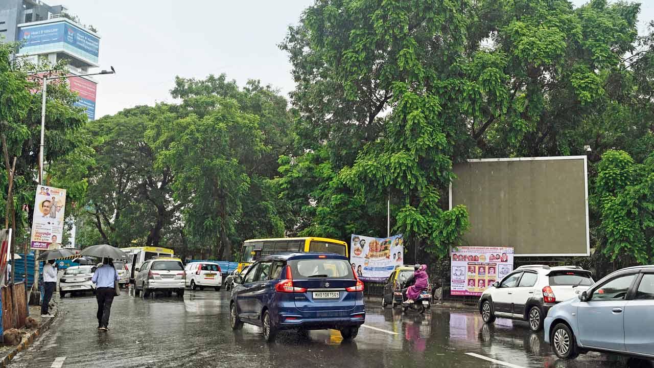Mumbai: Tilak Bridge in Dadar crumbles under strain amid construction activity