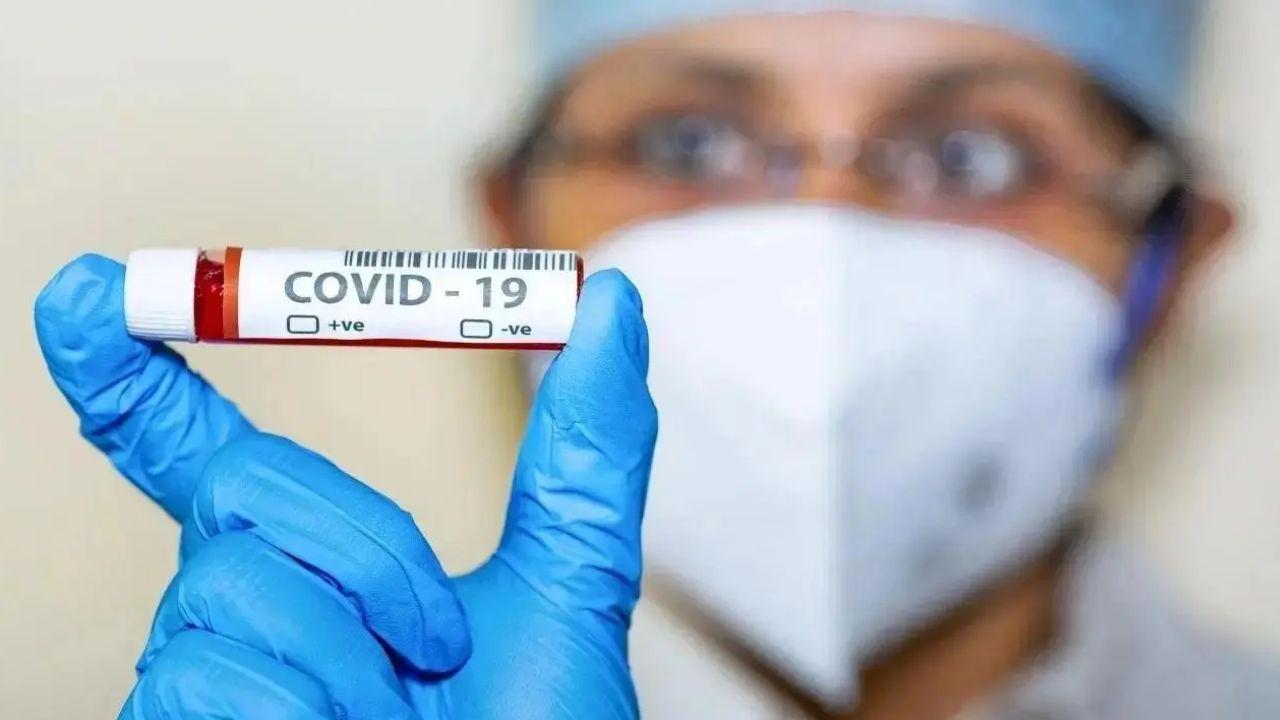 COVID-19: Maharashtra records 14 new cases, no deaths