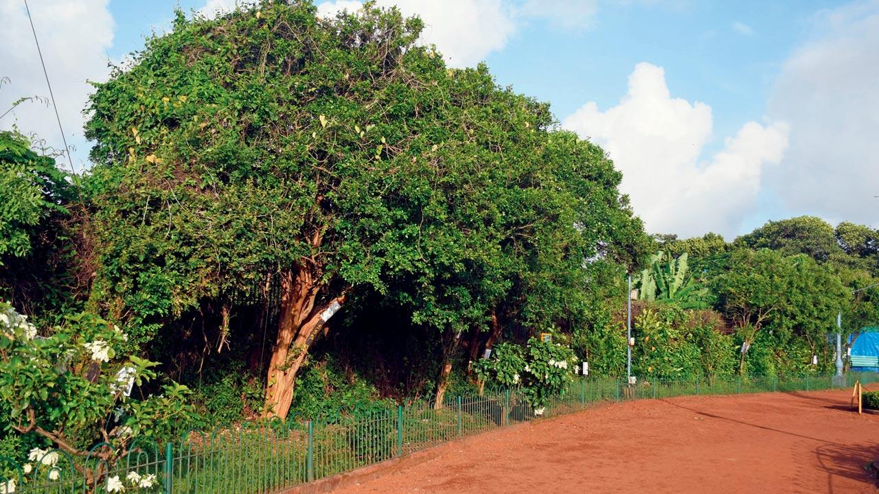 Civic body to visit spot proposed by residents for additional water tank