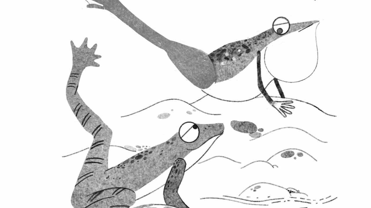 A new book for children dives into wildlife around us using poetry as a medium