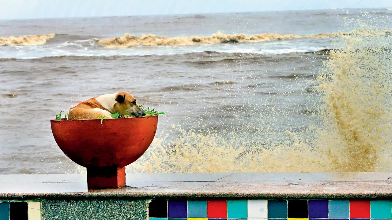 Mumbai Diary: Thursday Dossier