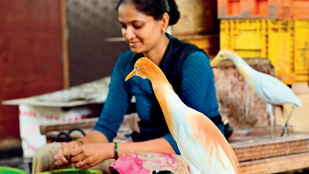 Mumbai Diary: Wednesday Dossier