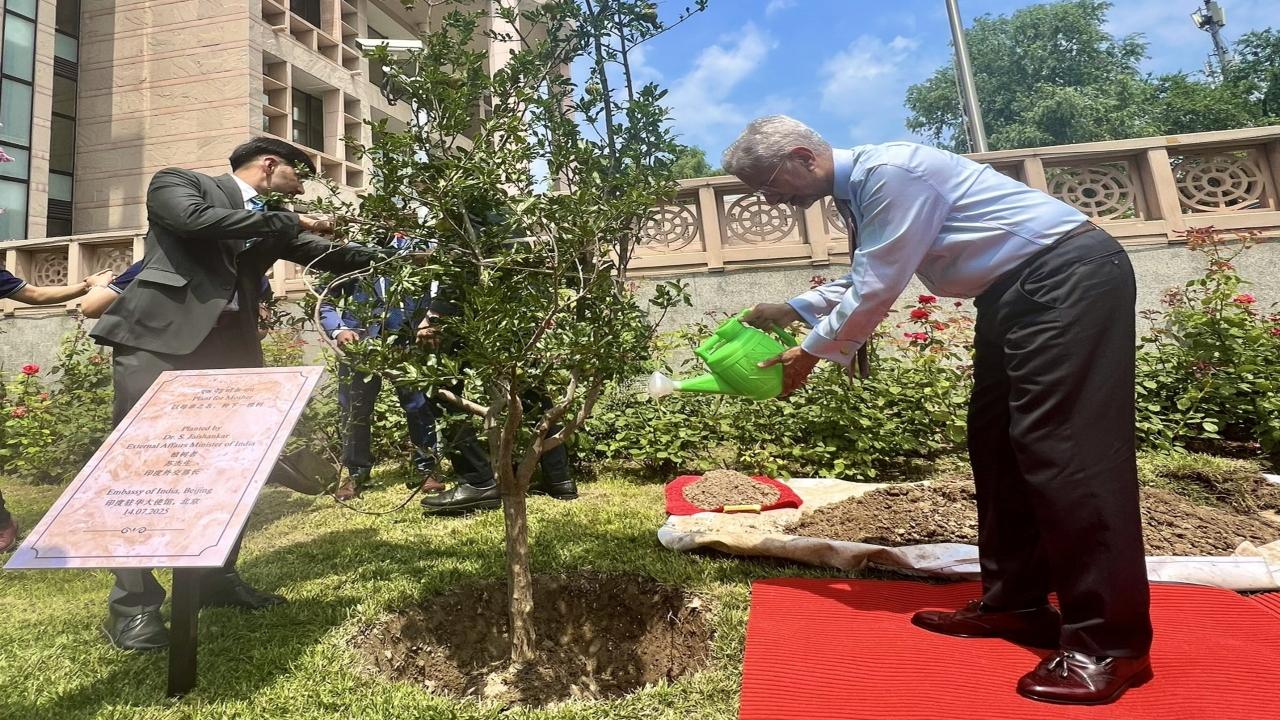 He also planted a pomegranate sapling as part of 'Ek Ped Maa Ke Naam' initiative, at the Indian Embassy in China premises on Monday 