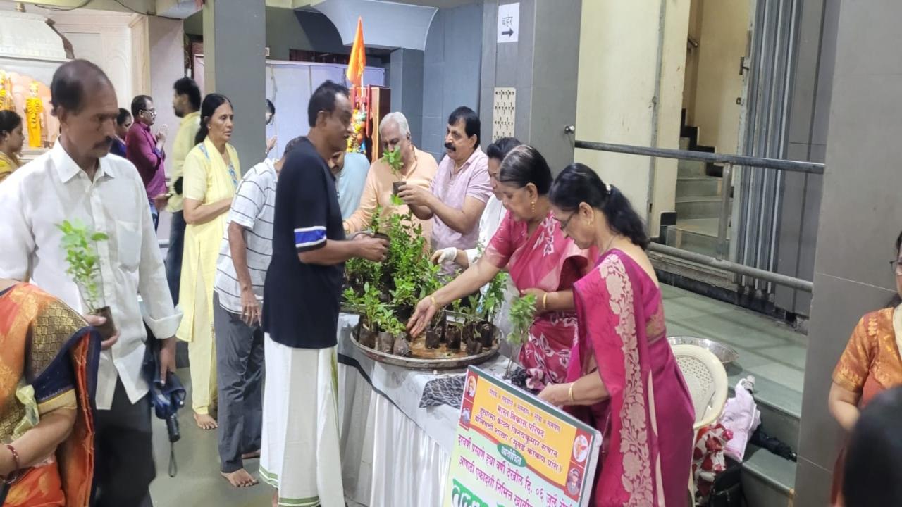 Dombivali residents distribute 2,500 Tulsi saplings across local temples on Ashadhi Ekadashi