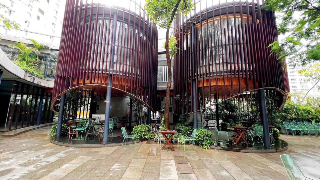 Ellie Café at The Trees