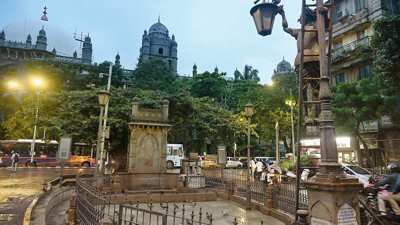 Mumbai civic body fines 107 people for feeding pigeons in public