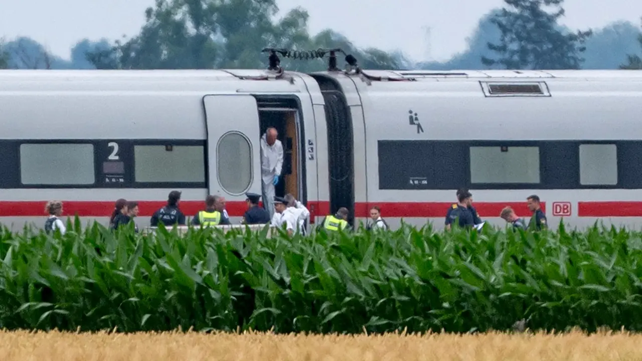 Man injures 4 with hammer on German train before arrest: Police