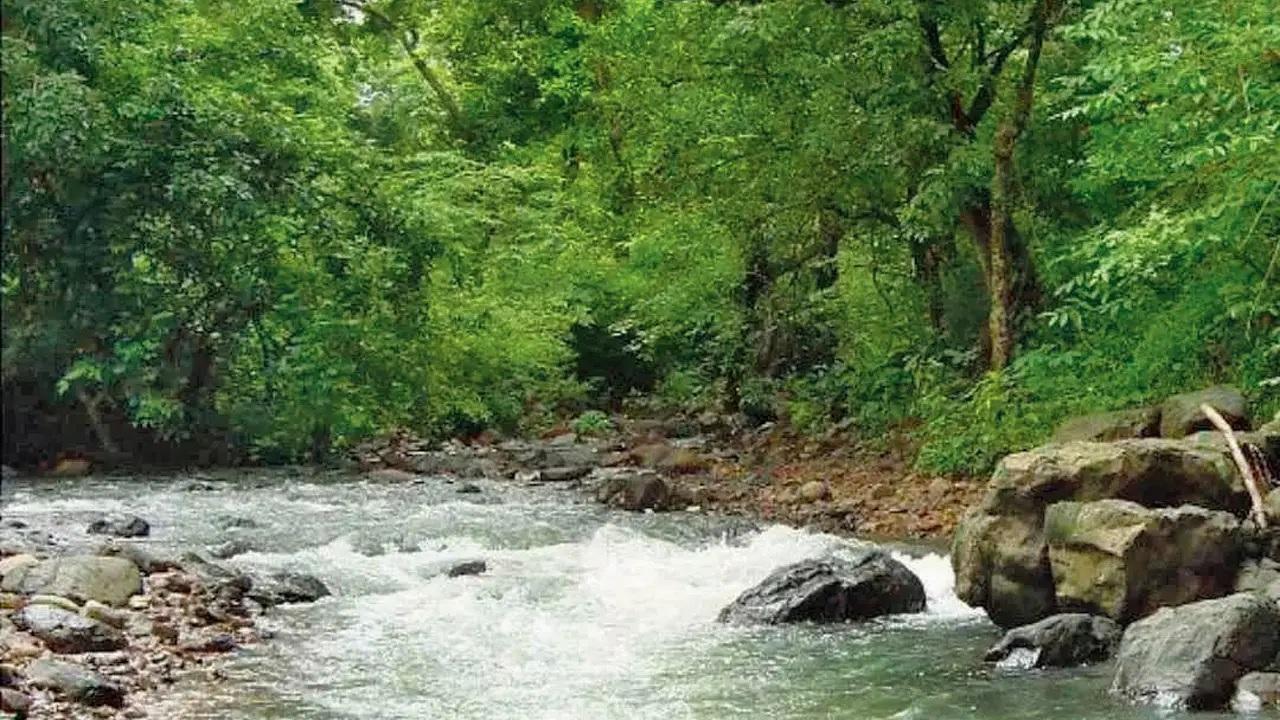 Revel in nature’s panoramic viewsScale the second-highest point at SGNP while trekking the picturesque Gaimukh plateau for a green break from the city.  
TIME 6.45 amAT (Meeting point revealed on registration)CALL 9833173564 (WhatsApp)ENTRY Rs 1490 (per person) 
