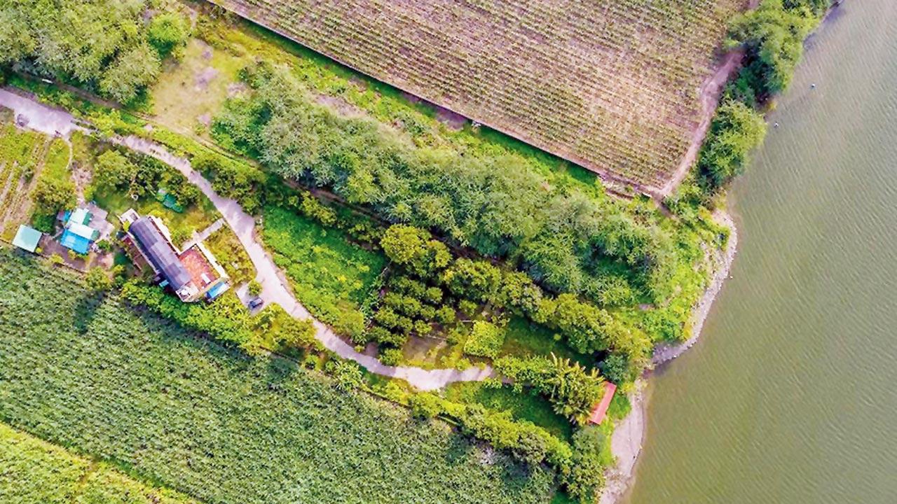 Ditch the screens and unwind at this farmstay near Pune