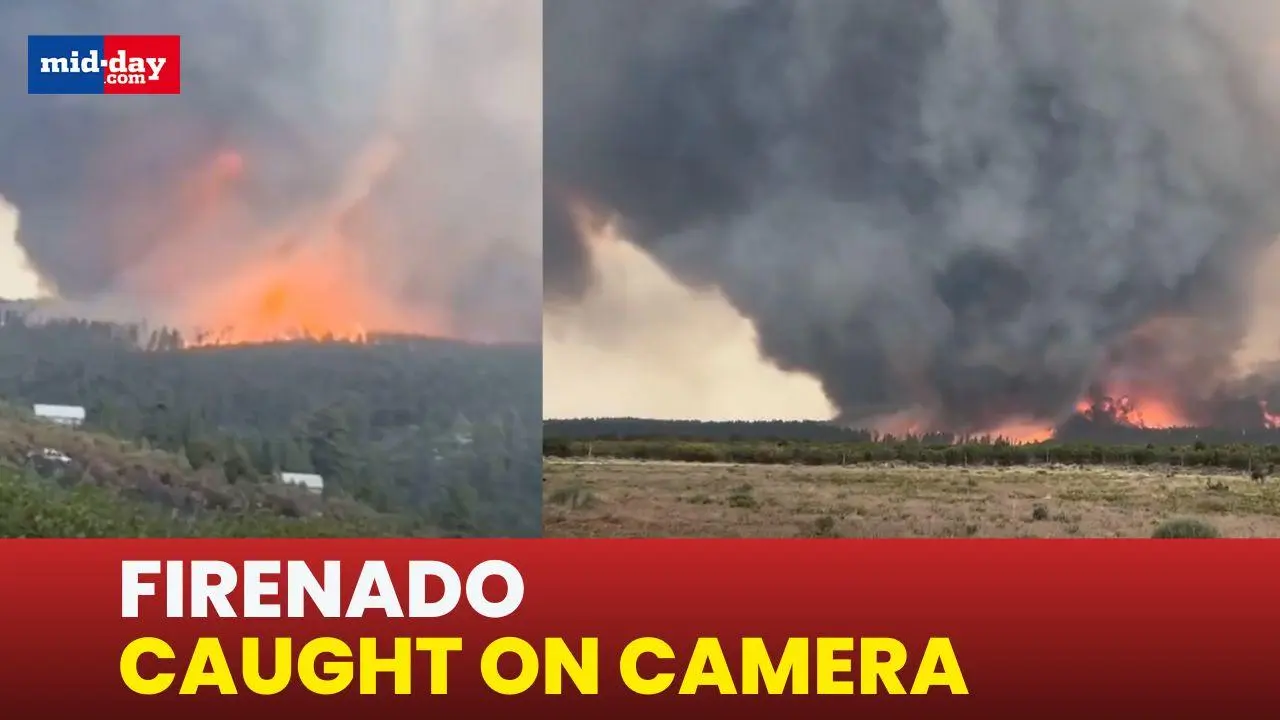 WATCH: Monster Firenado Tears Through Utah’s Deer Creek Fire Zone | La Sal
