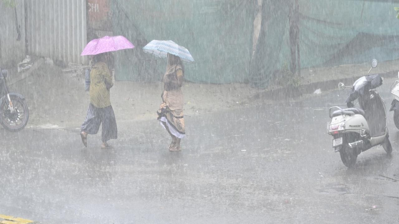 In 24 hours, Mumbai received 97.2 mm of rainfall, followed by Thane (85 mm), Gadchiroli (57.6 mm), Gondia (54.6 mm), and Raigad (53.5 mm)