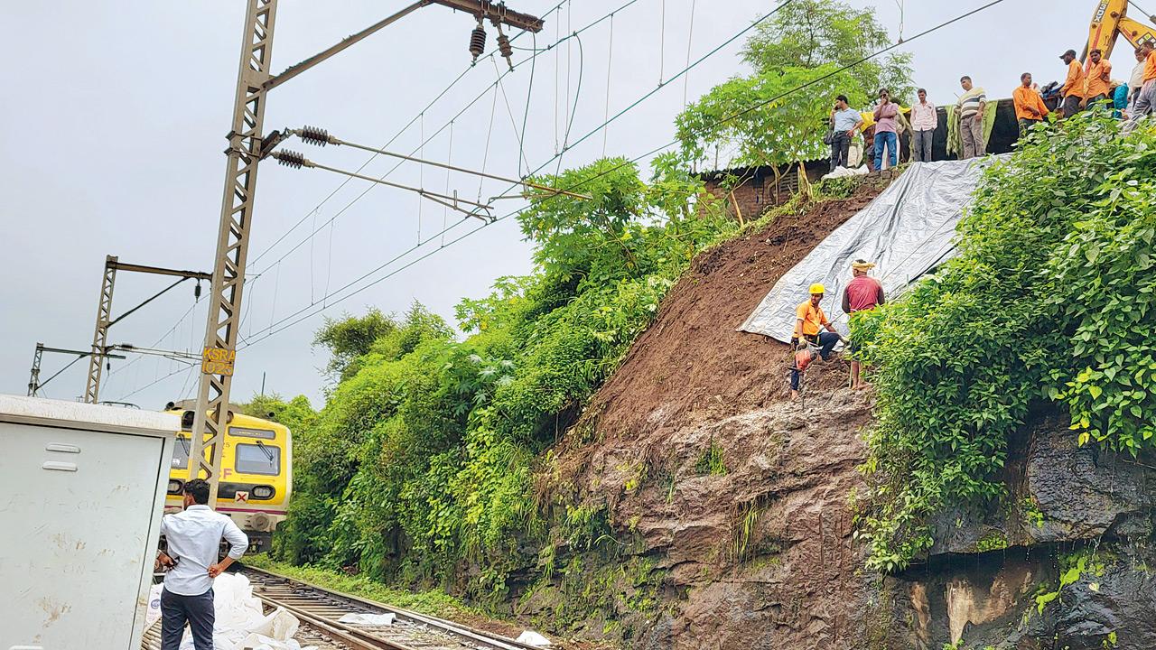 Mumbai: Tree collapses beside moving local near Kasara; 2 injured
