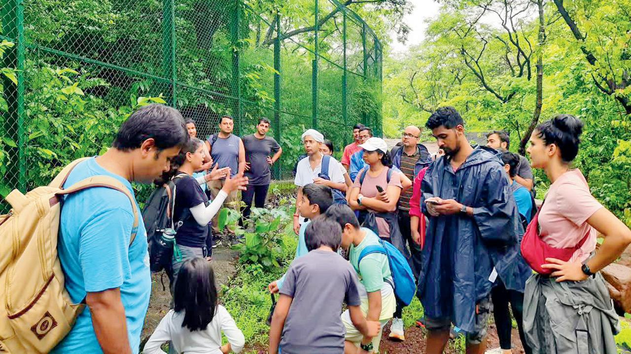 Saturday
Into the woods
Take a breath of fresh air at Sanjay Gandhi National Park’s Kashimira trail and explore the wonders the wilderness has to offer (Pic/SGNP)
TIME 6.45 am to 10.45 amAT Sanjay Gandhi National Park, Borivli East. (Meeting point revealed on registration)CALL 7738778789ENTRY Rs 600
