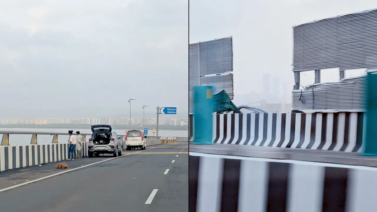 Missing panel, illegal halting plague Mumbai Trans-Harbour Link