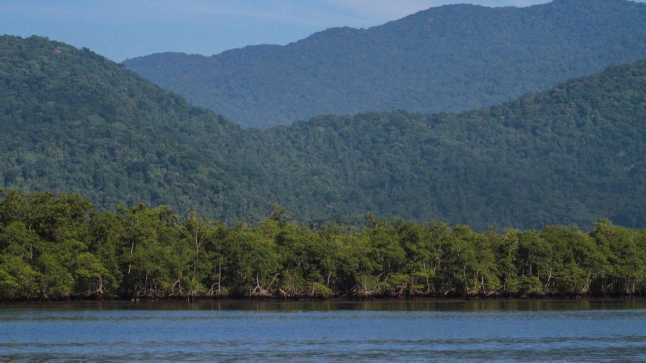 Maharashtra monsoon session 2025: State govt promises action to protect mangroves; 'positive about carbon credits'