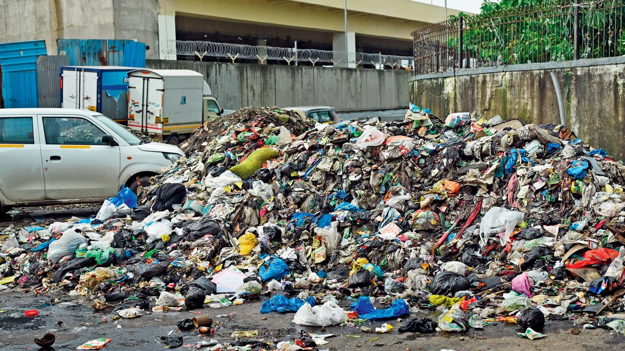 Mankhurd’s Cheetah Camp chokes on stench after wet waste dumped roadside