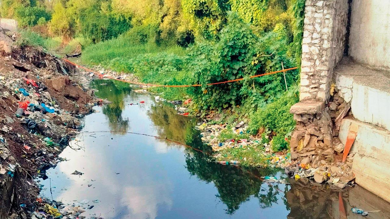 The Cheetah Camp nullah in Mankhurd after the recent clean-up drive