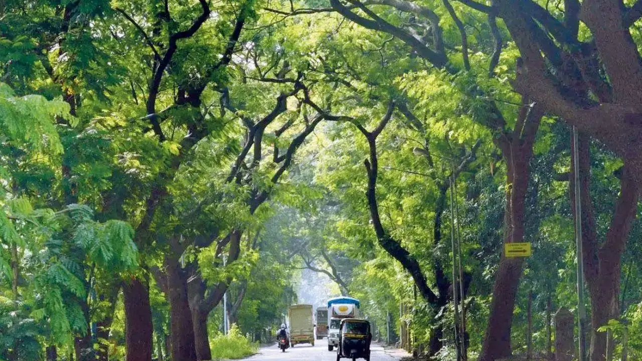 Mumbai LIVE Updates: Aarey residents receive eviction notices