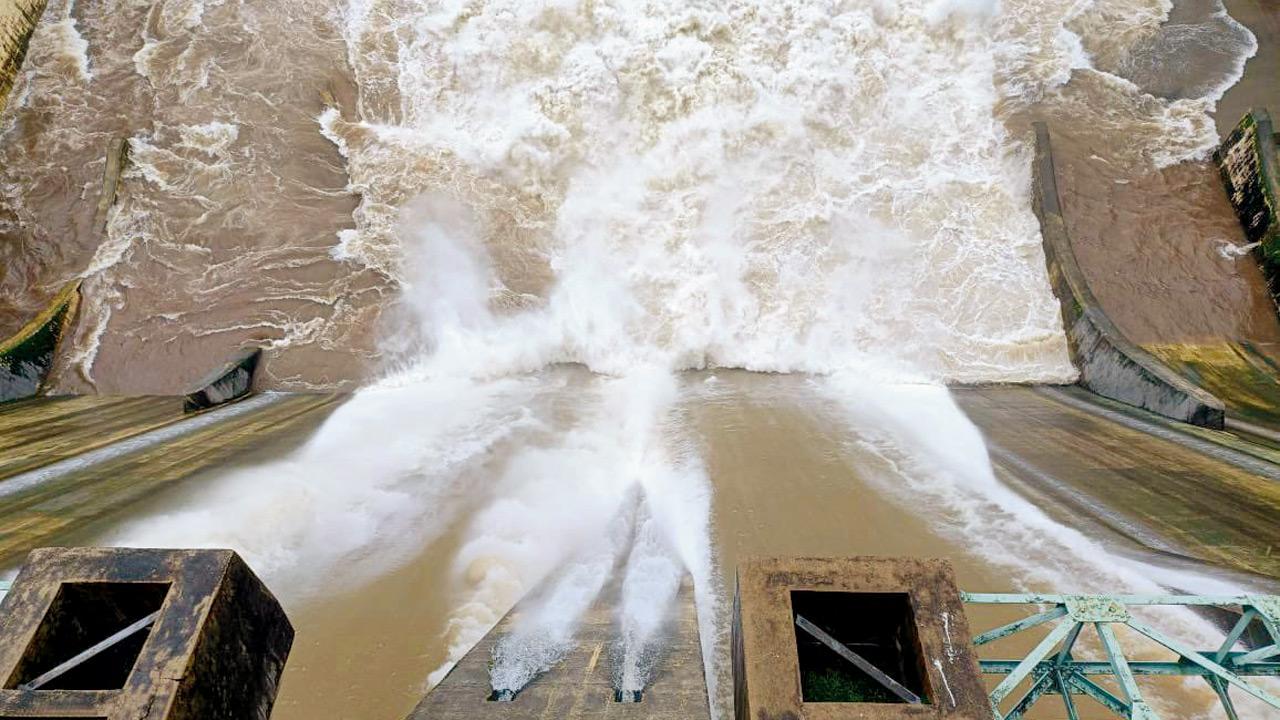 Mumbai Rains: Modak Sagar reservoir first to overflow this monsoon