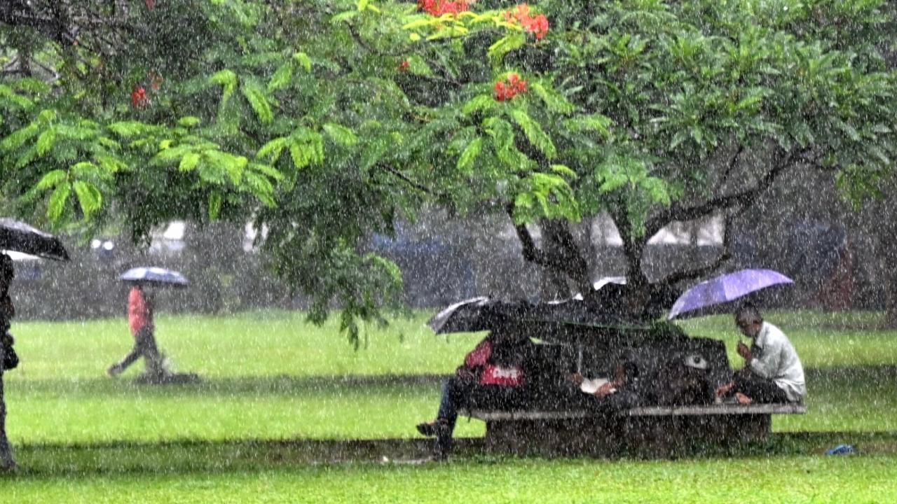 On Wednesday, the city and its nearby suburbs can expect a generally cloudy sky with intermittent spells of moderate to heavy rainfall, the India Meteorological Department (IMD) said in its latest weather updates