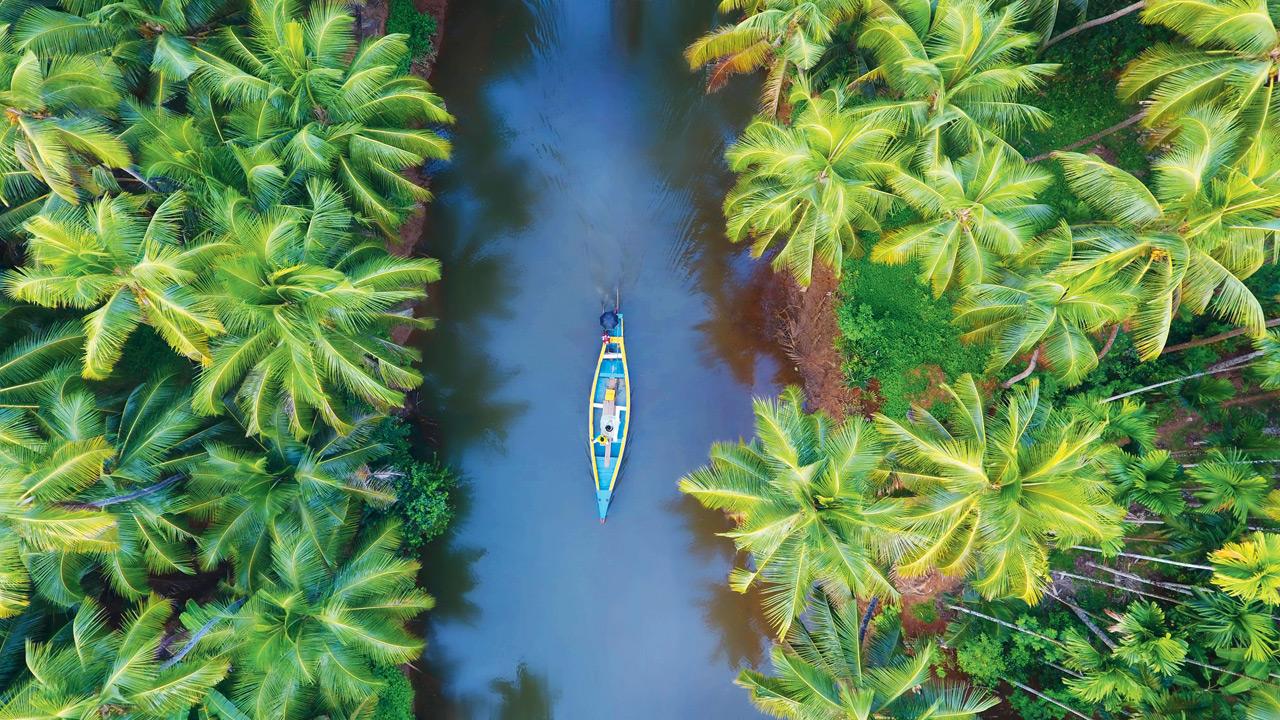 Explore this poetry book that is inspired by the natural world