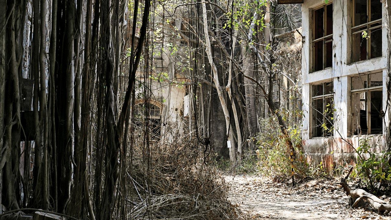The proposed site of the textile museum, where India United Mill stands, in Kalachowkie, Byculla, on March 25