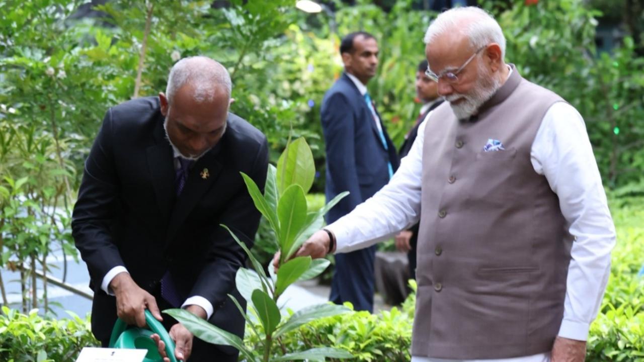 Official Spokesperson of the Ministry of External Affairs, Randhir Jaiswal said that the act reflects the leaders' priority for a sustainable planet.