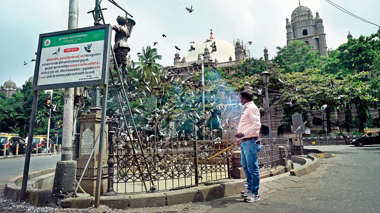 Pigeons fly away in panic after former BMC marshal, Vilas Pawar, lights a firecracker at the khabutarkhana in Fort. PIC/ATUL KAMBLE