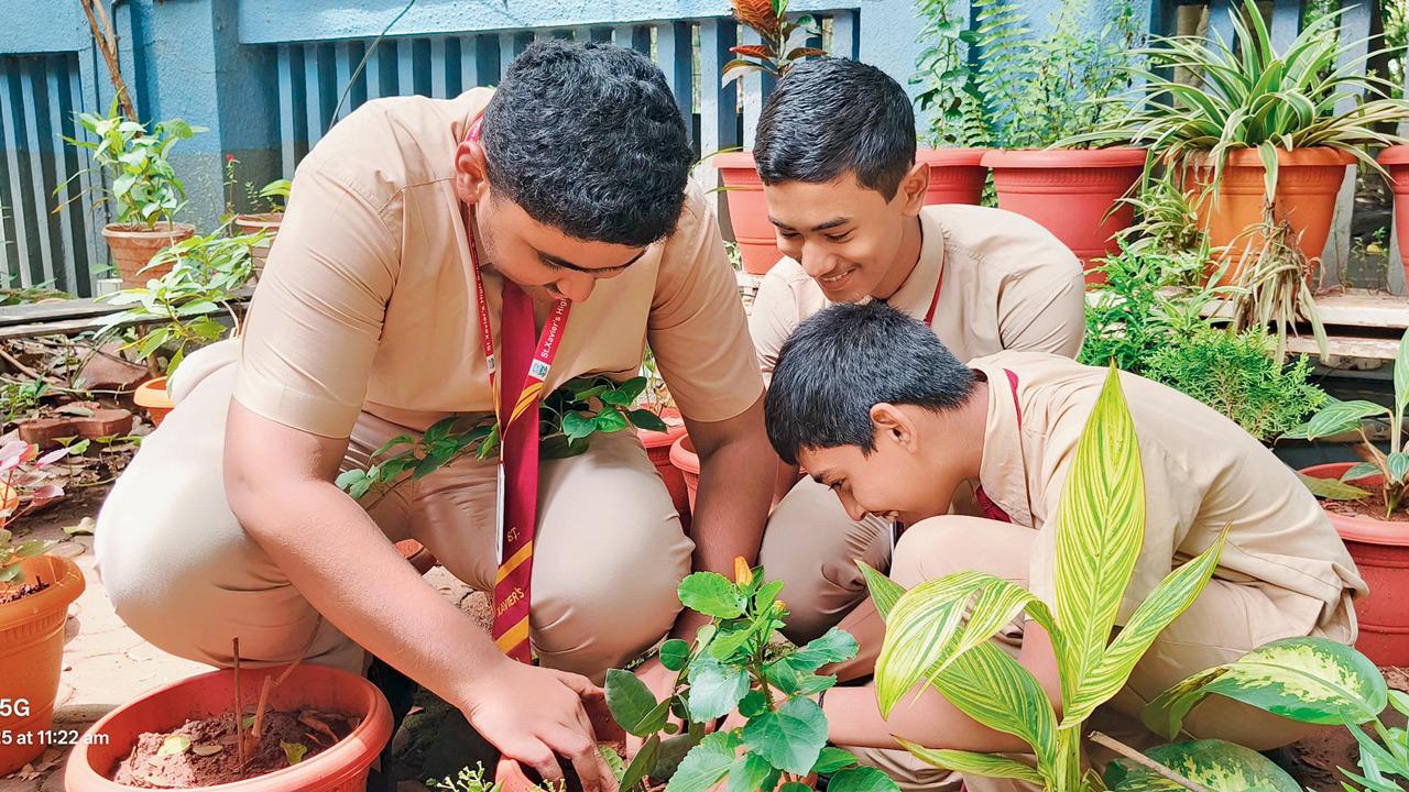 Schools struggle to meet eco club plantation targets amid space constraints