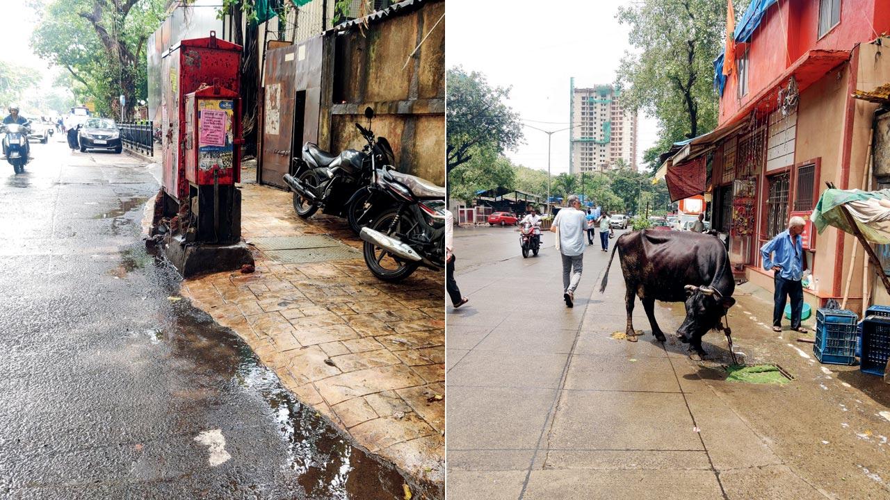 Goregaon locals unite on Sunday to demand safer pedestrian walkways