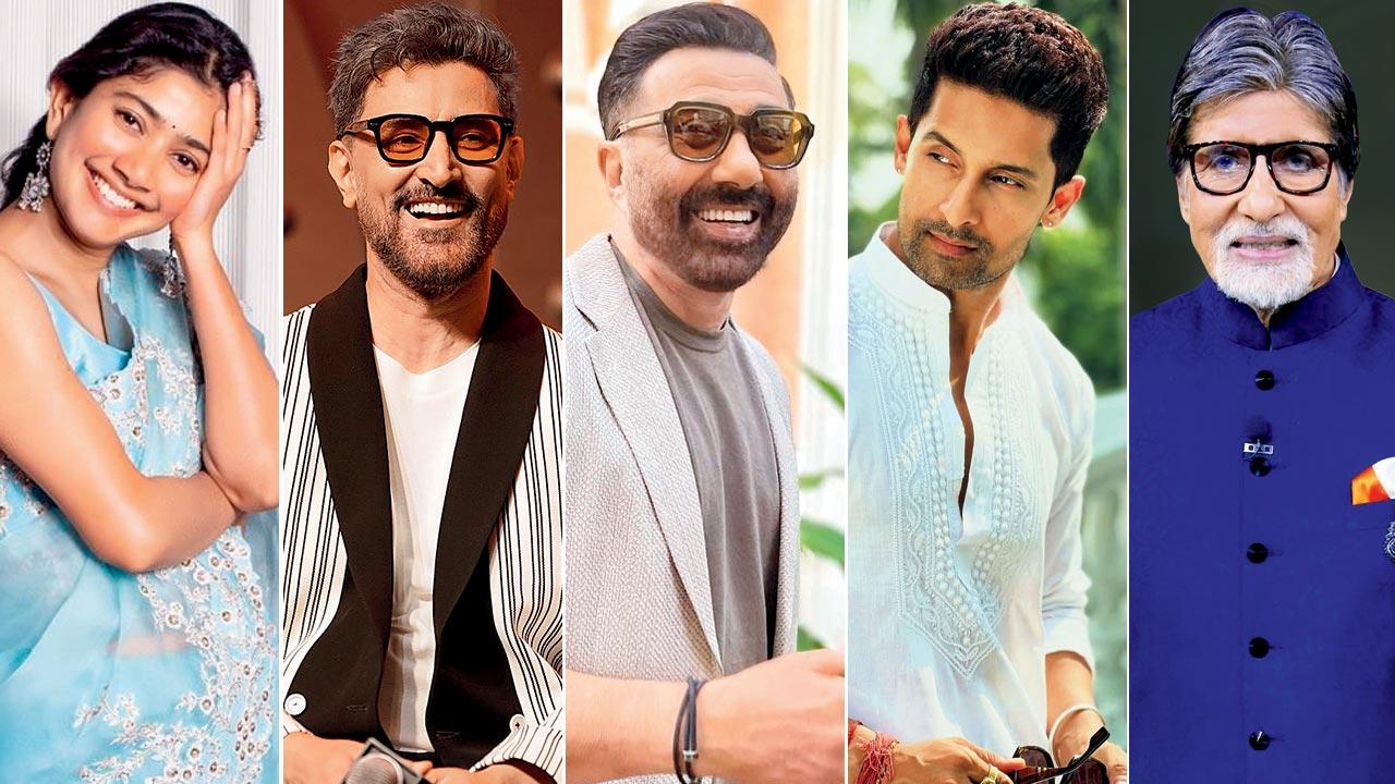 Sai Pallavi as Sita, Kunal Kapoor as Lord Indra, Sunny Deol as Hanuman, Ravie Dubey as Lakshman and Amitabh Bachchan as Jatayu