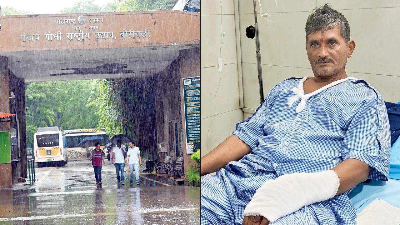 Mumbai: Wildlife rescuers at SGNP risk lives without insurance coverage