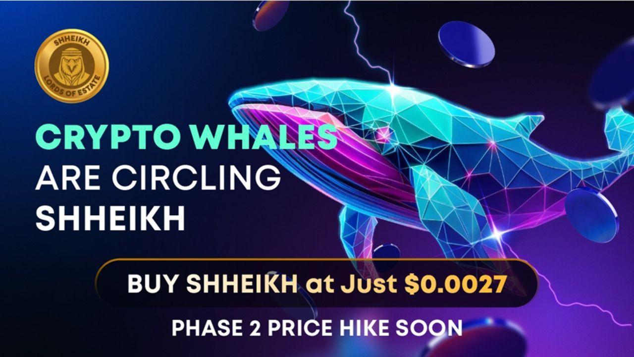 SHHEIKH Token Explodes in Just 2 Weeks - USD3M+ Raised and Climbing